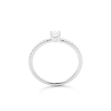 Solitaire - Prestigieuse