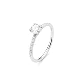 Solitaire - Prestigieuse II