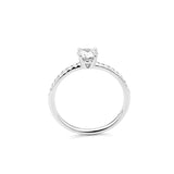 Solitaire - Prestigieuse II