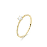 Solitaire - Iconique