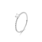 Solitaire - Iconique